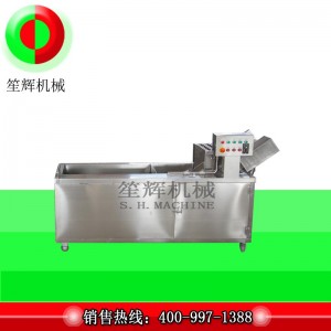 Machine à laver de luxe avec désinfection à l'ozone (bande transporteuse réversible)